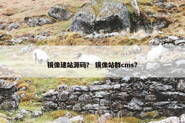 镜像建站源码？ 镜像站群cms？