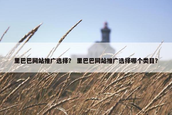 里巴巴网站推广选择？ 里巴巴网站推广选择哪个类目？
