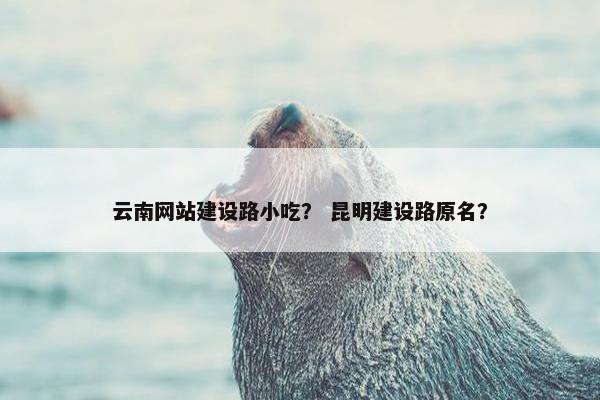 云南网站建设路小吃？ 昆明建设路原名？