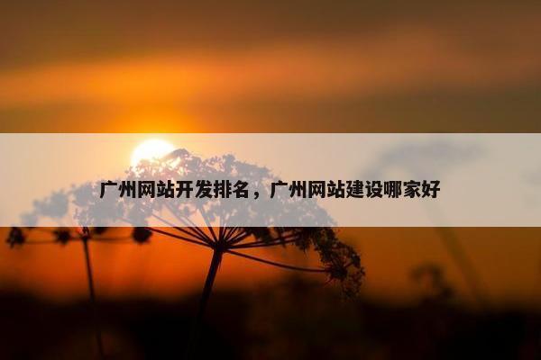 广州网站开发排名，广州网站建设哪家好