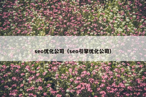 seo优化公司（seo引擎优化公司）