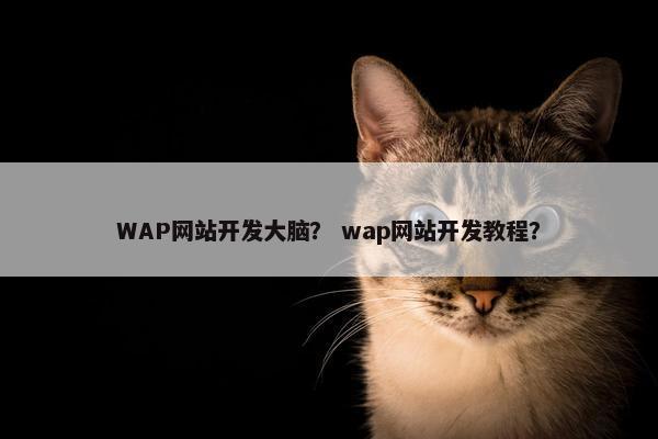 WAP网站开发大脑？ wap网站开发教程？