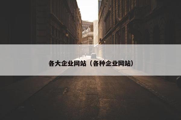 各大企业网站（各种企业网站）
