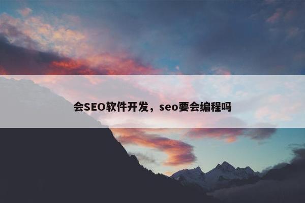 会SEO软件开发，seo要会编程吗