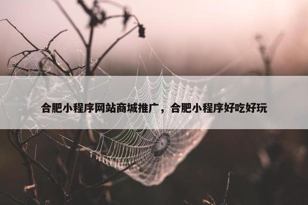 合肥小程序网站商城推广，合肥小程序好吃好玩