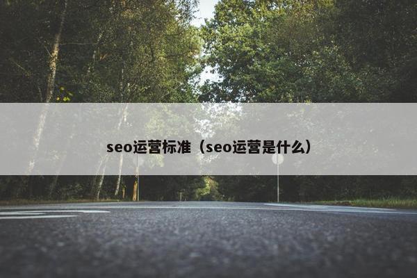 seo运营标准（seo运营是什么）