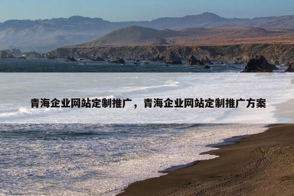 青海企业网站定制推广，青海企业网站定制推广方案
