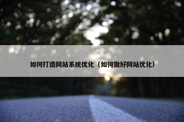 如何打造网站系统优化（如何做好网站优化）