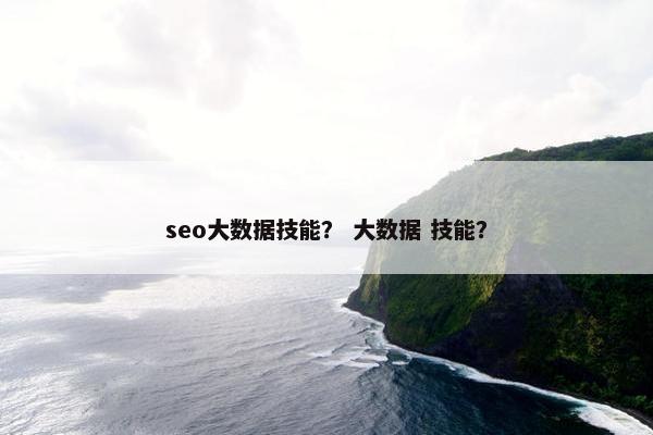 seo大数据技能？ 大数据 技能？