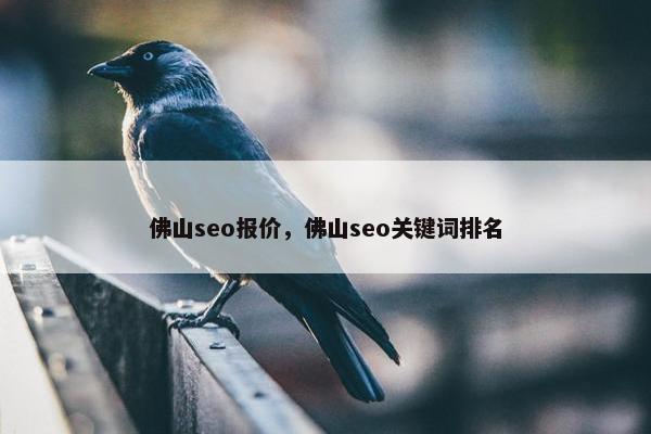 佛山seo报价，佛山seo关键词排名