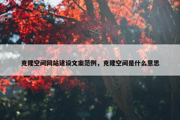 克隆空间网站建设文案范例，克隆空间是什么意思